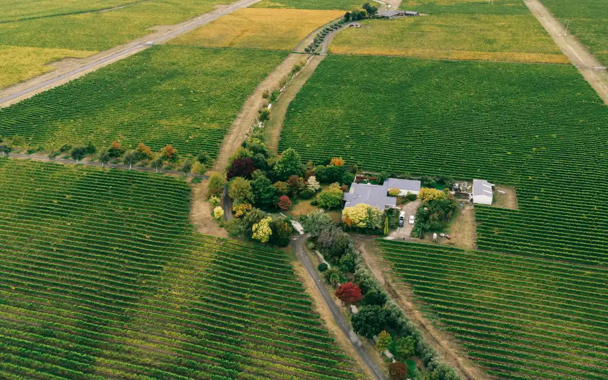 Drohnenaufnahme eines Gehöfts inmitten von Weinbergen