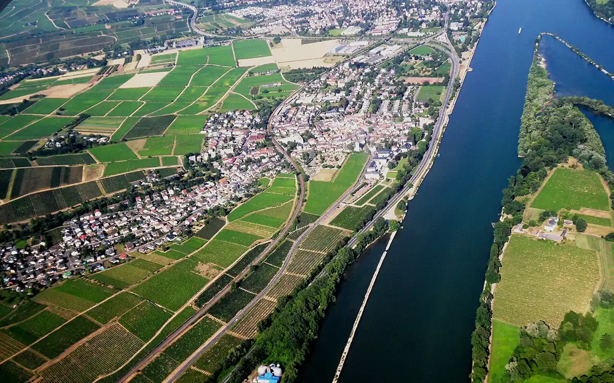 Luftbild von Erbach im Rheingau mit Weinbergen und dem Rhein
