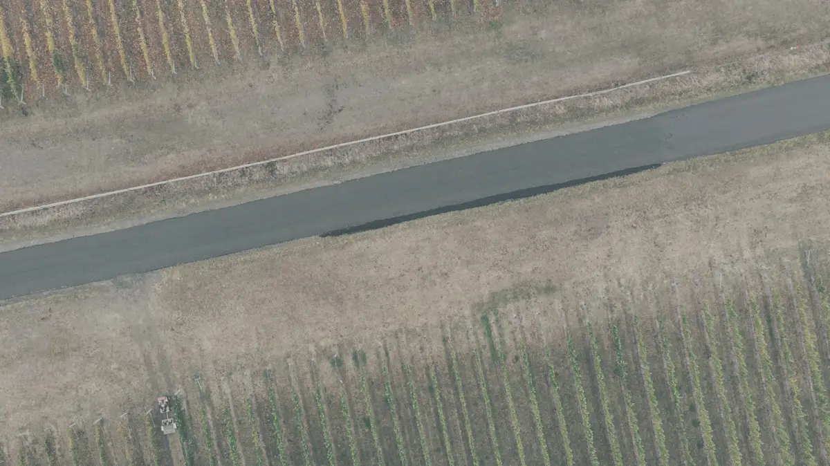 Drohnenaufnahme von Weinbergen vor der Bearbeitung: flach und blass